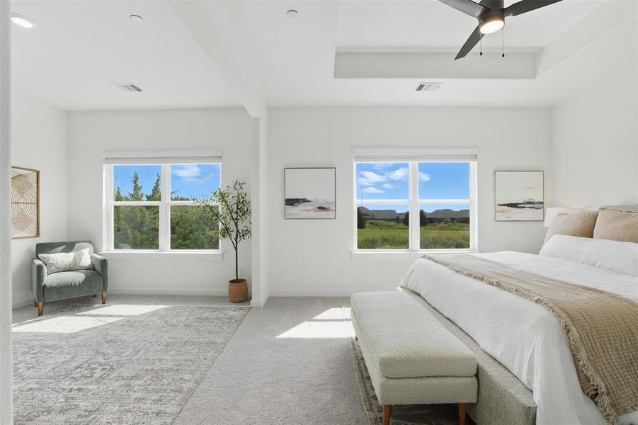 Carpeted bedroom featuring multiple windows, ceiling fan, and a raised ceiling Carpeted bedroom featuring multiple windows, ceiling fan, and a raised ceiling