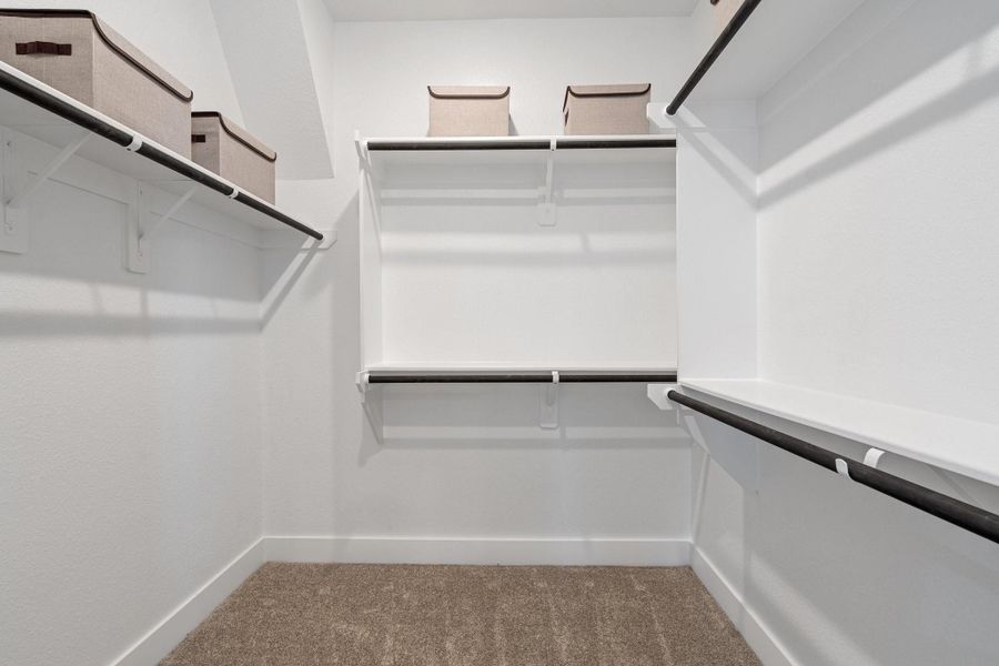 Representative Photo