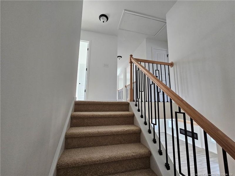 PICTURES ARE ALIKENESS!!