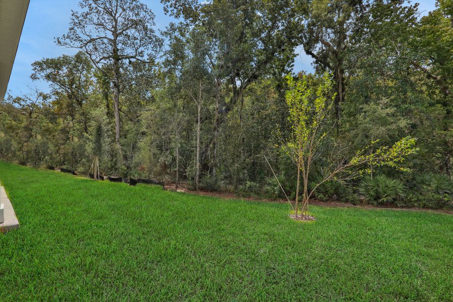 3br New Home in St Augustine, FL.  - Slide 12