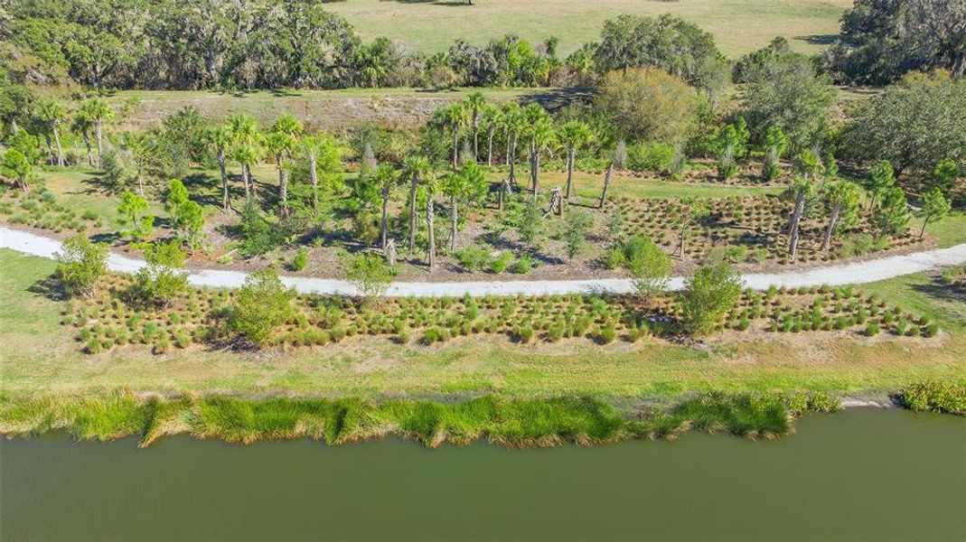 Natural landscape and outdoor views near  in Sarasota (Image 83).