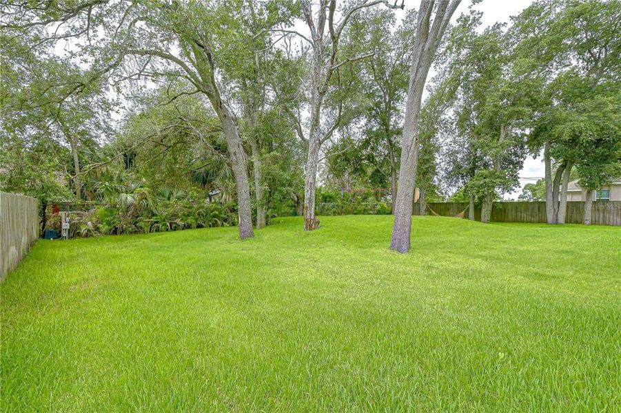 Natural landscape and outdoor views near  in Tampa (Image 51).