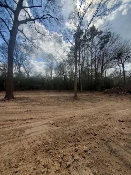 GRADED BACK YARD WITH 15 PALLETS OF SOD ON THE WAY