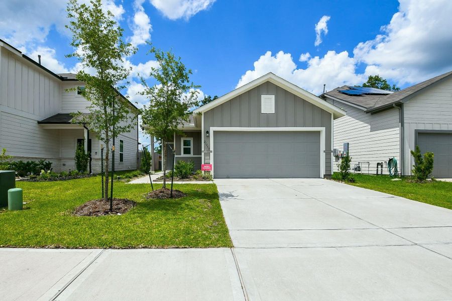 Beautiful New Neighborhood