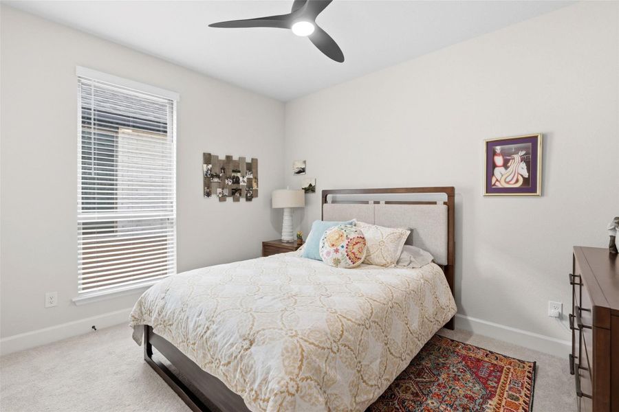 Bright room featuring a large window with blinds, light-colored walls, and neutral carpet flooring