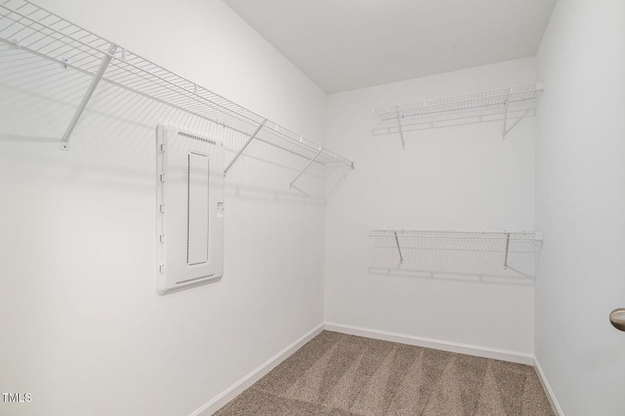 015_img_0646-edit_595