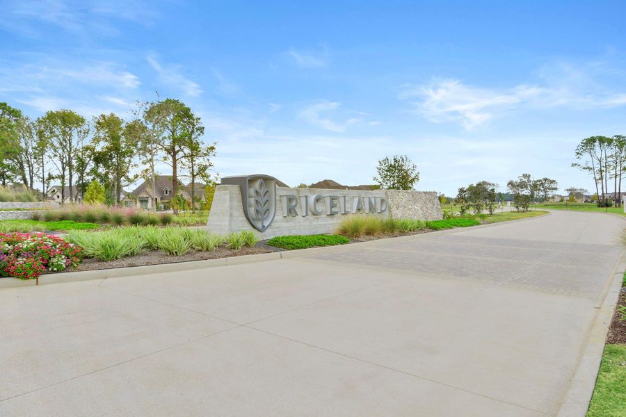 Image 39 of a home in Riceland: 42ft. lots.