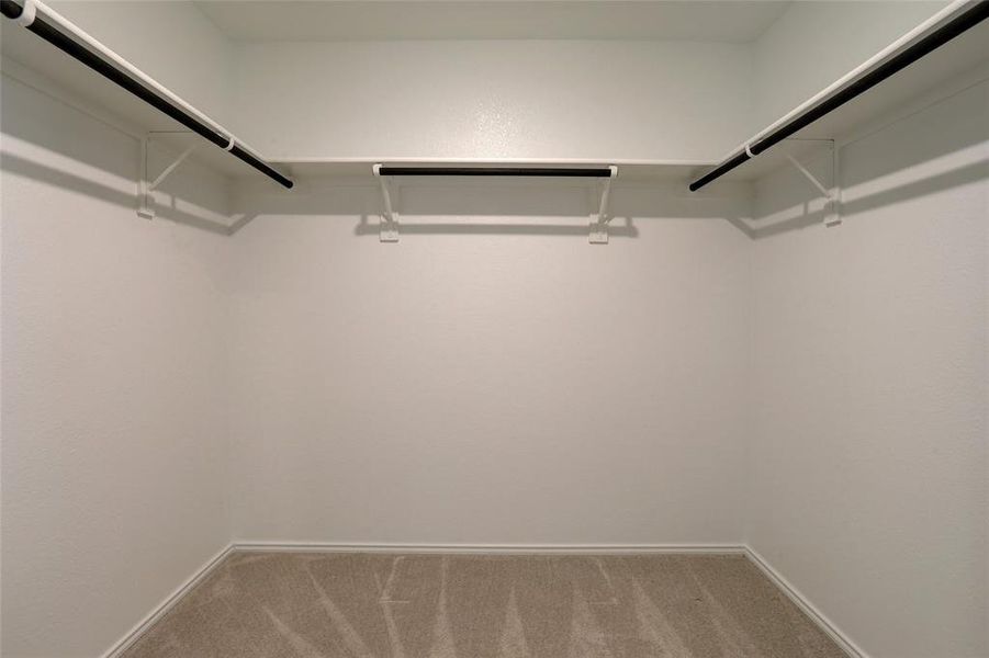 Walk in closet with light colored carpet