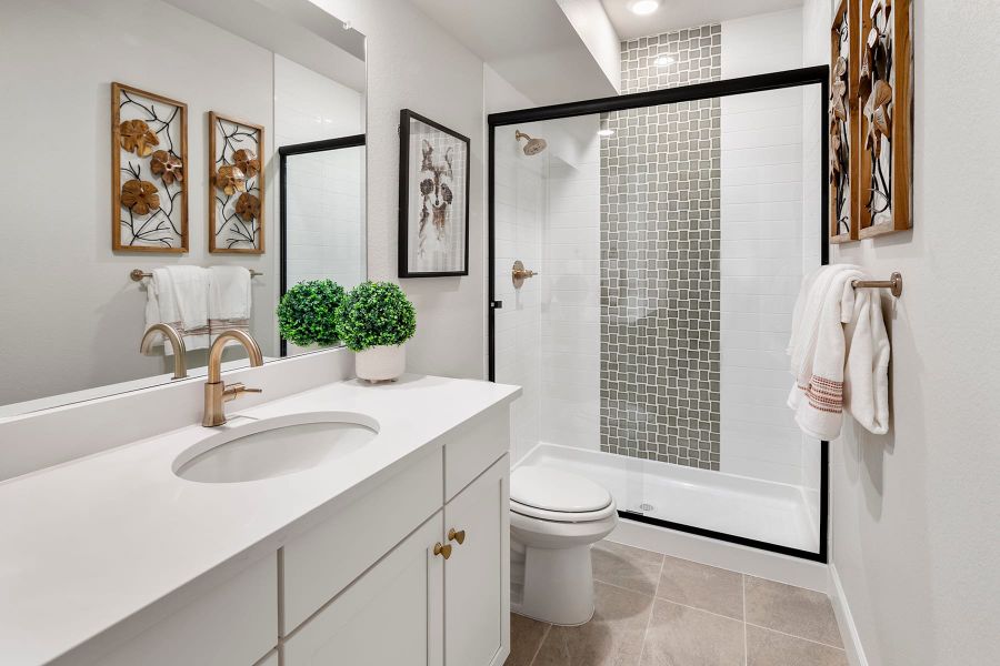 Representative furnished interior of a home built from the 3 by Tri Pointe Homes in Sugar Mill Village, Longmont (Image 11).