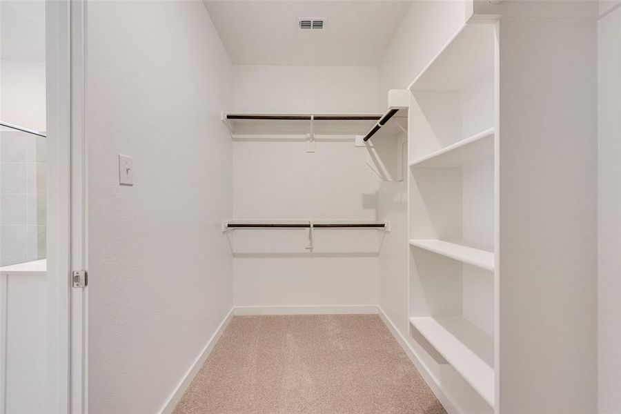 Walk in closet with light carpet