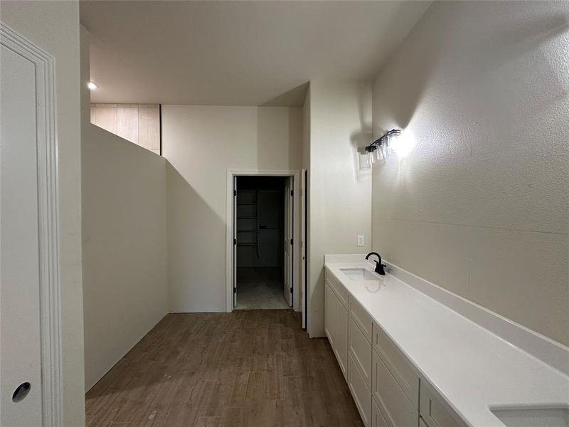 Bathroom featuring a spacious closet, dark wood-type flooring, and vanity