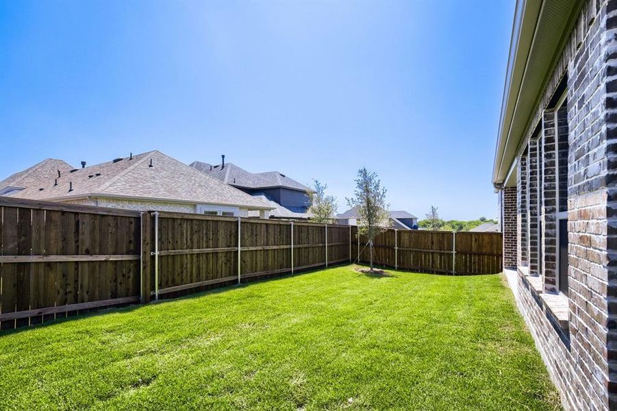 Expansive green lawn with a mature tree, featuring a privacy fence, brick exterior, and multiple windows