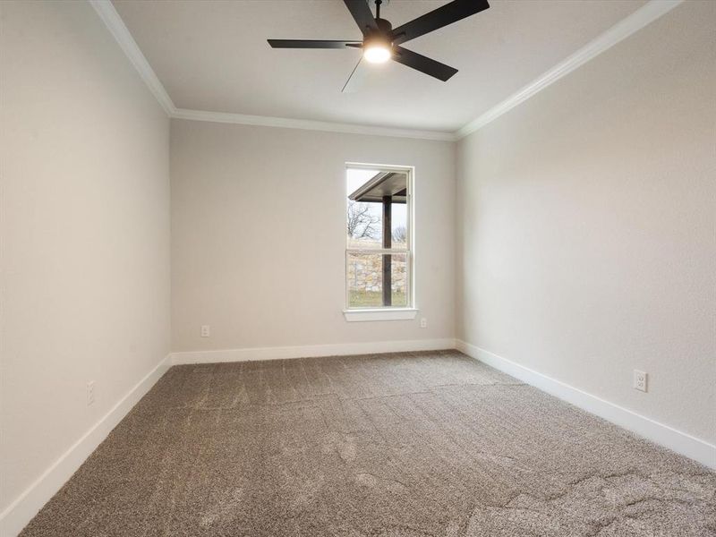 Carpeted empty room featuring ceiling fan and crown molding