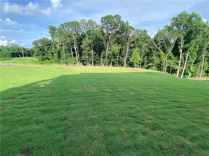 Natural landscape and outdoor views near Estates at Yellow Creek in Cumming (Image 24). Natural landscape and outdoor views near Estates at Yellow Creek in Cumming (Image 24).