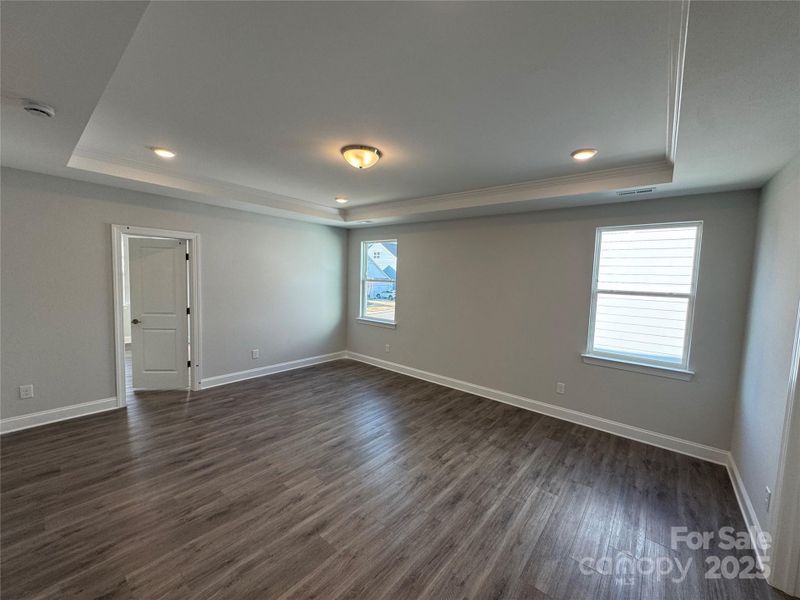 Primary bedroom with tray ceiling