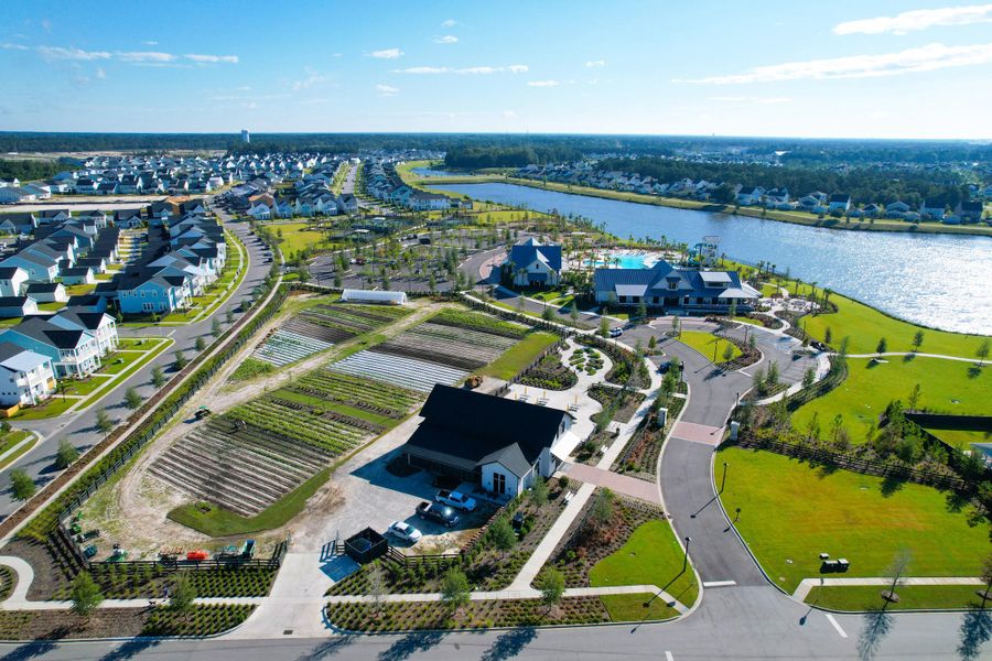 Image 46 of a home in Carnes Crossroads: Coastal Collection.