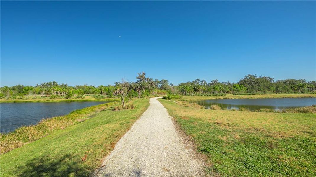 Natural landscape and outdoor views near  in Sarasota (Image 82).