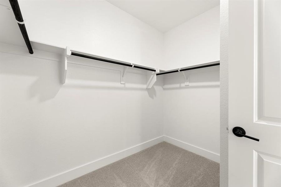 24. 3137 Eddington - Closet