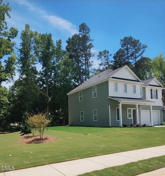copy of 0214 with green grass improved s
