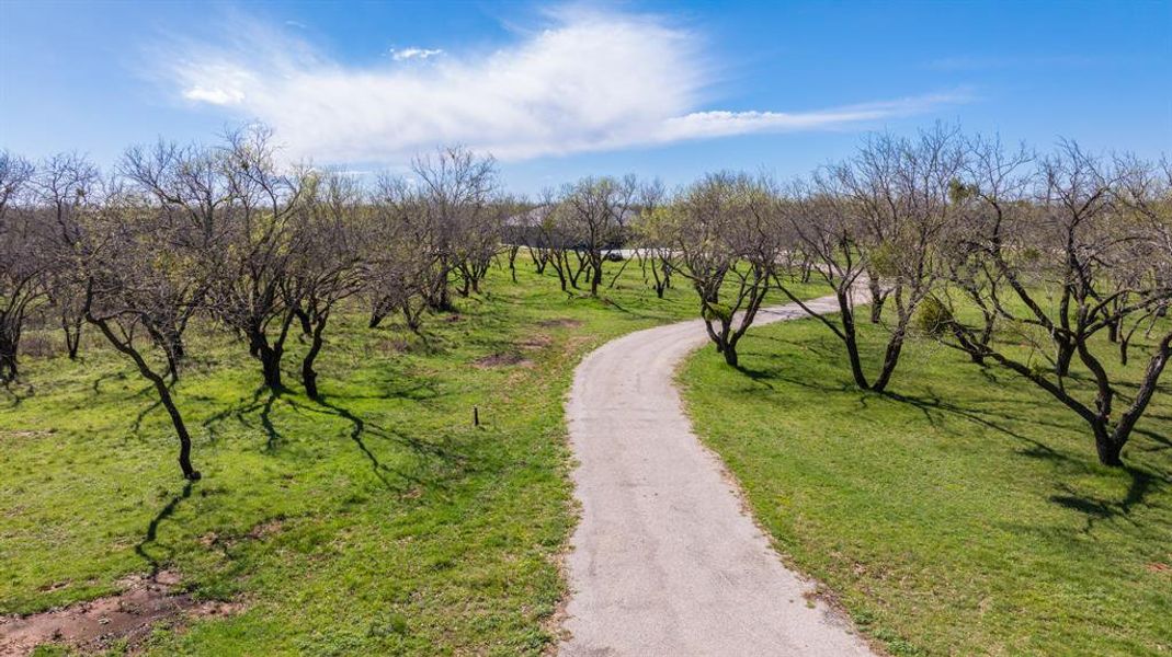 Natural landscape and outdoor views near  in Early (Image 33).