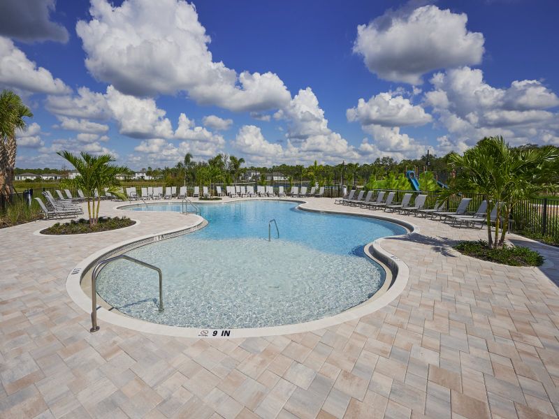 Community amenities in Magnolia Bay - Premier Series, Nokomis (Image 18).