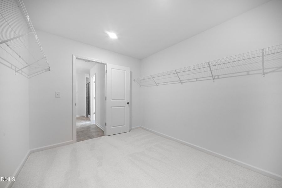 SUN_SherriDowns_Pic_Tessa-34