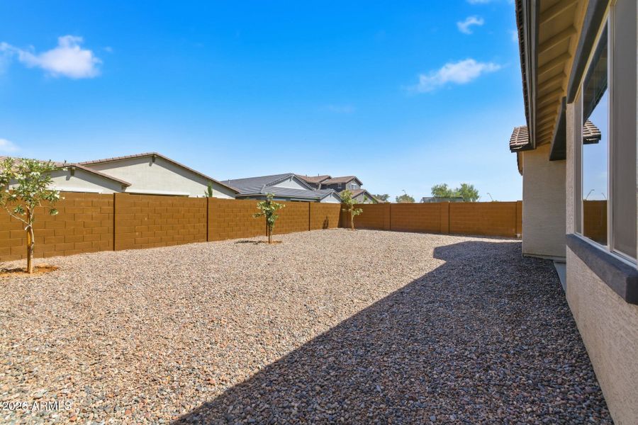 Backyard
