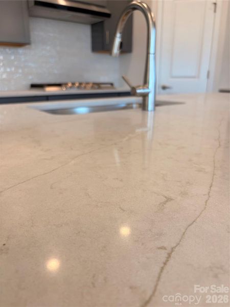 Close-up of interior finishes inside a home in Encore at Harmony, Harrisburg (Image 19).