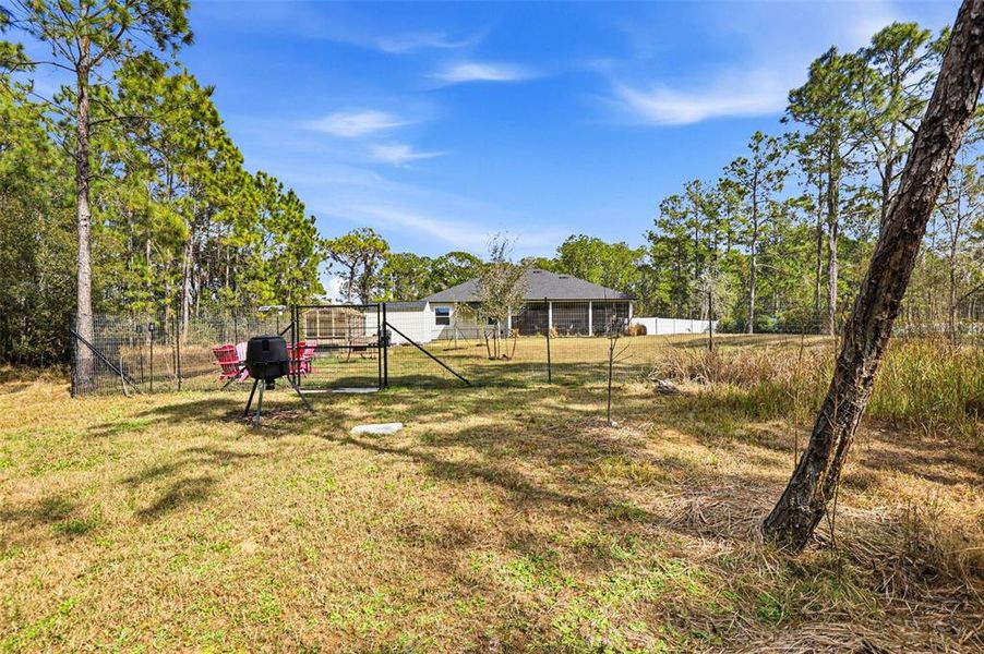 Natural landscape and outdoor views near  in Wesley Chapel (Image 48).