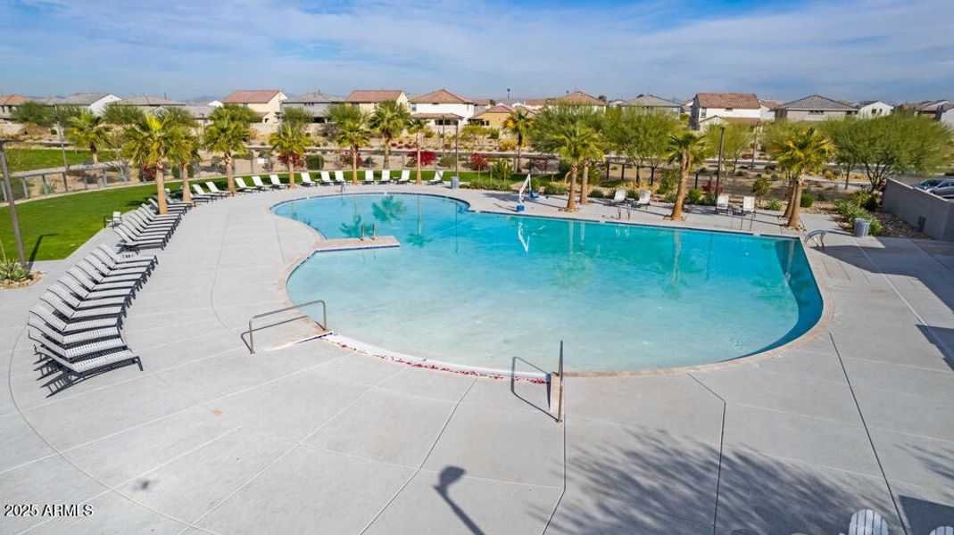 Community Photo Community Photo