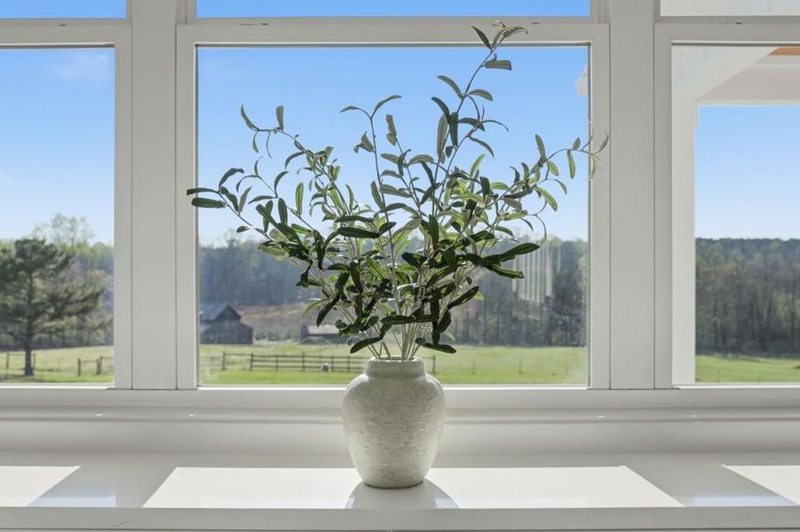 Close-up of interior finishes inside a home in , Senoia (Image 25).