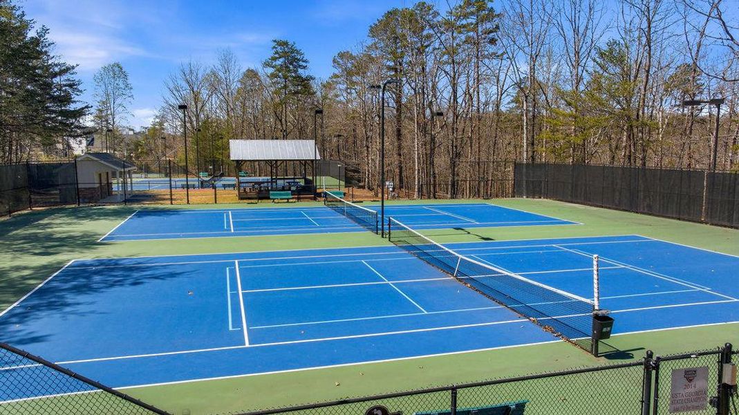 Community amenities in , Dawsonville (Image 64).