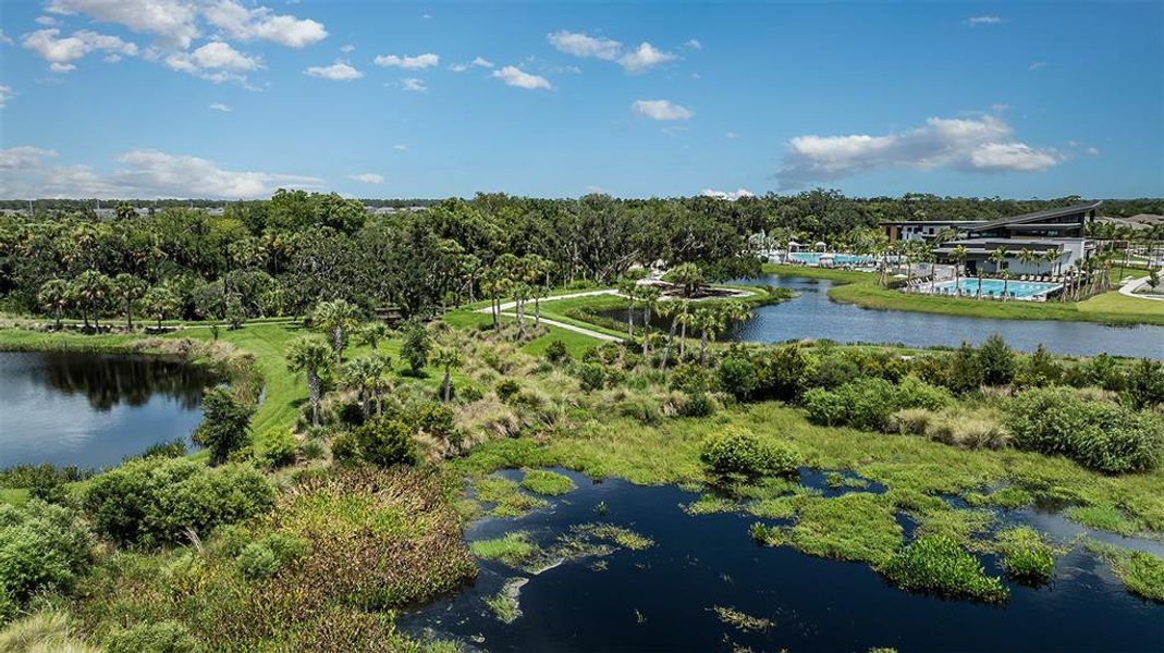 Natural landscape and outdoor views near Skye Ranch Community Group Page in Sarasota (Image 81).