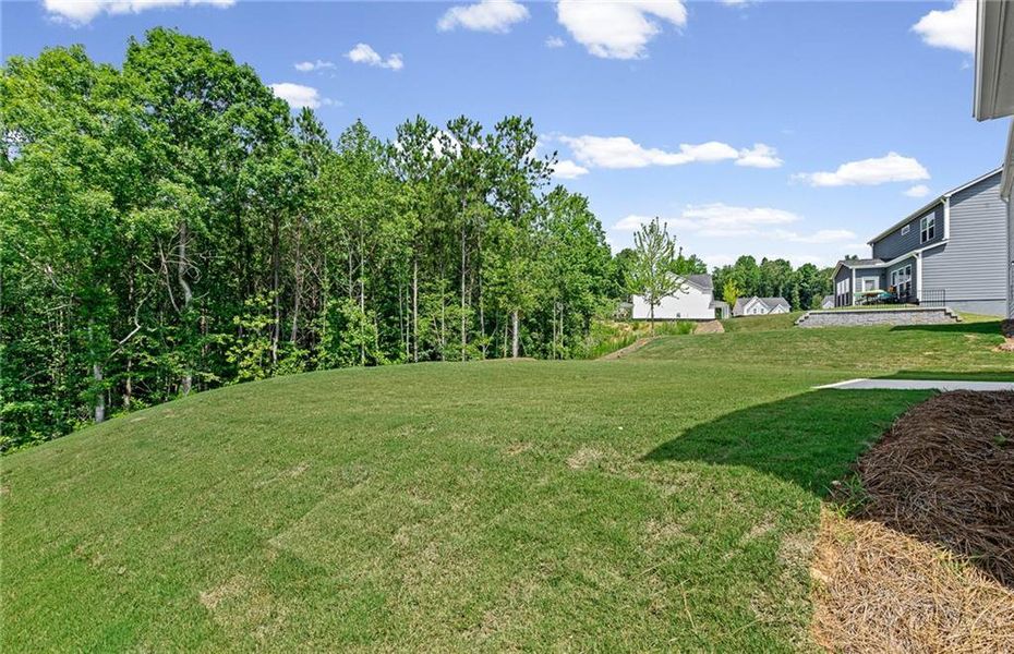 Exterior details and patio area of a home in Hunters Creek, Flowery Branch (Image 4).