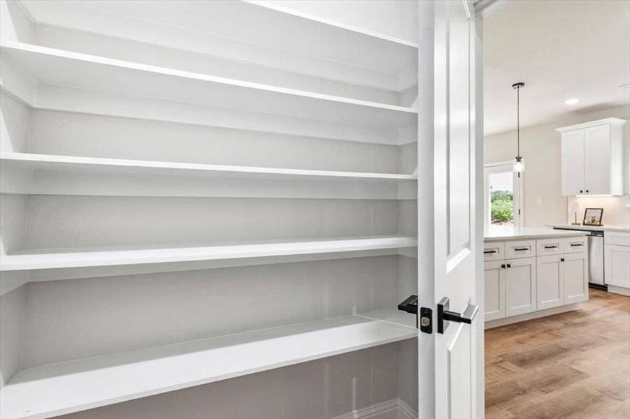 Open pantry with multiple fixed shelves, white painted door with black hardware, and wood-finish flooring