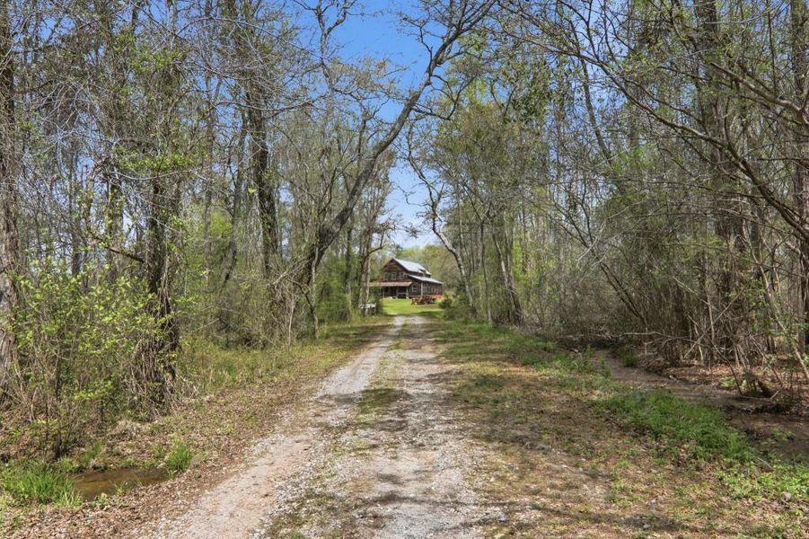 Natural landscape and outdoor views near  in Senoia (Image 111).