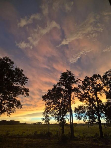 Natural landscape and outdoor views near  in Lecanto (Image 62).
