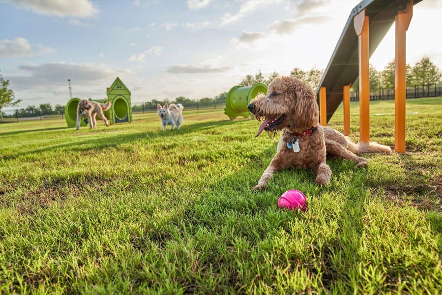 Community amenities in Elyson - 40', Katy (Image 23). Community amenities in Elyson - 40', Katy (Image 23).