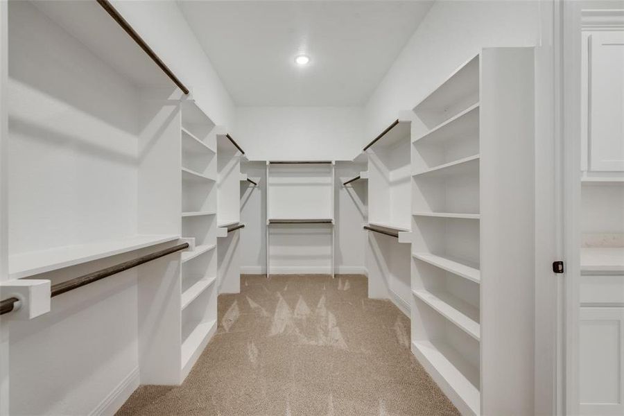 Spacious closet featuring light carpet