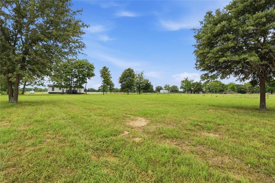 Expansive green field with scattered mature trees and a residential structure in the distance