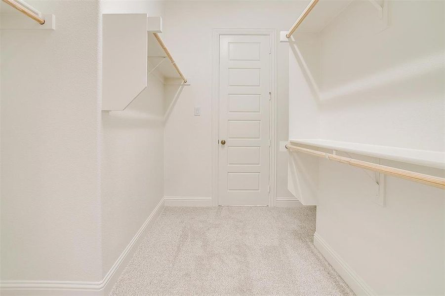 Spacious closet featuring light carpet