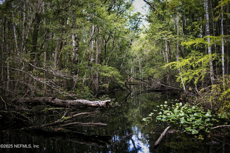 Natural landscape and outdoor views near Trailmark in St. Augustine (Image 51).