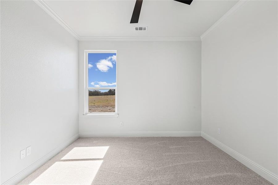 Unfurnished room with light carpet, ceiling fan, and crown molding