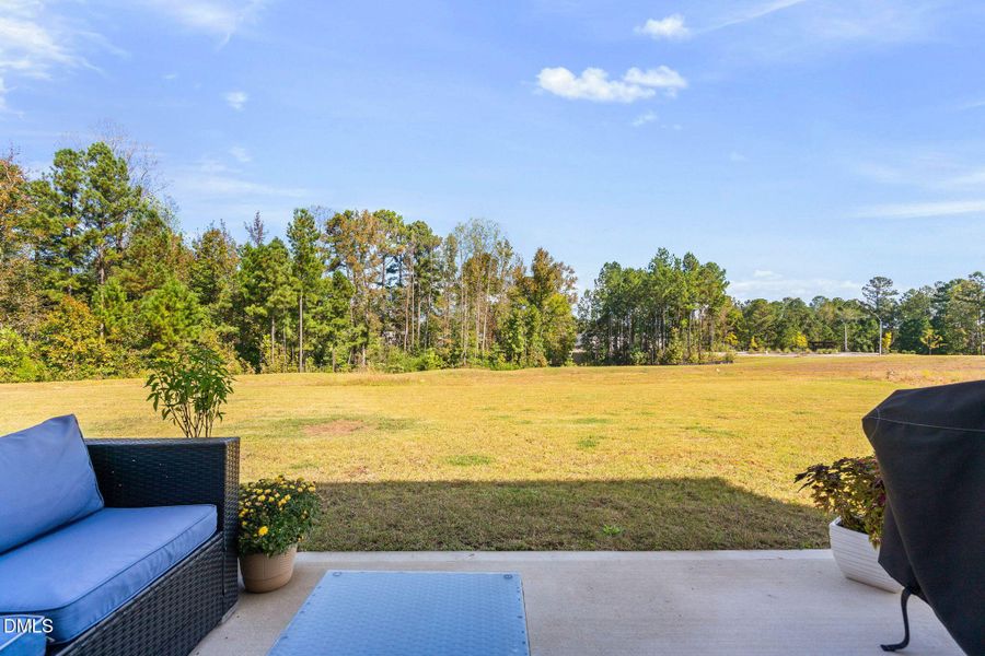 41-web-or-mls-320-red-brick-st