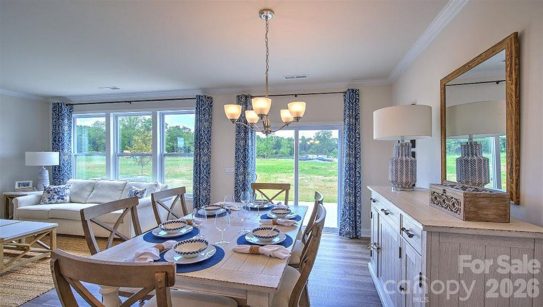 Photos are representative