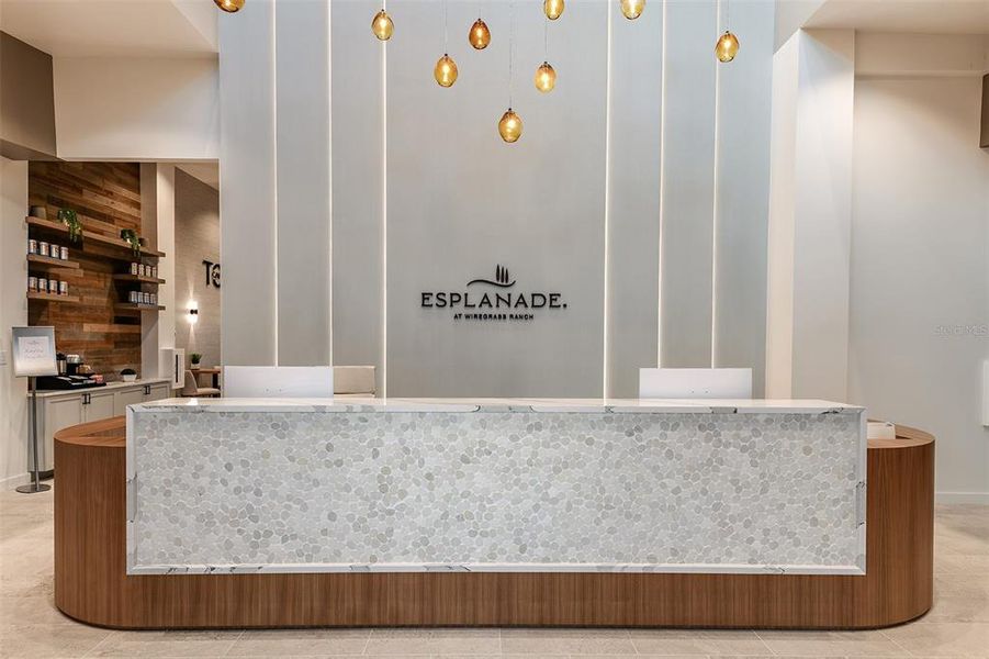 Esplanade at Wiregrass Ranch Community Amenities