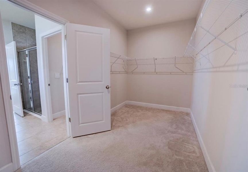 Spacious, unfurnished interior of a new home in , Port Charlotte (Image 18). Spacious, unfurnished interior of a new home in , Port Charlotte (Image 18).