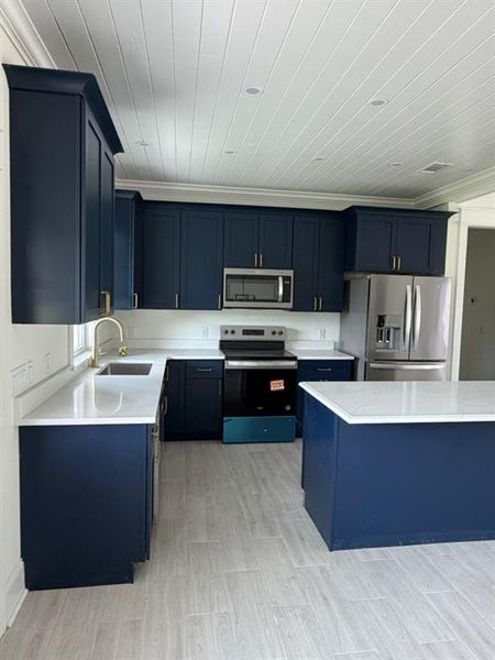 Furnished interior view inside a new home in , Jesup (Image 6).