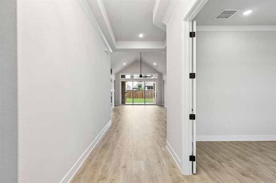 312 Bee Balm 312 Bee Balm