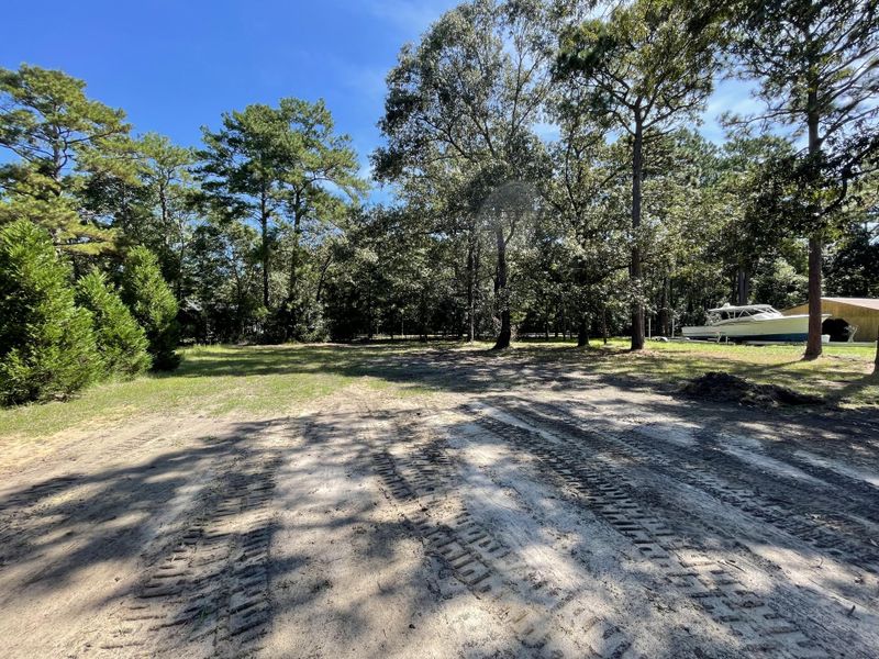 Natural landscape and outdoor views near  in Hollywood (Image 22).